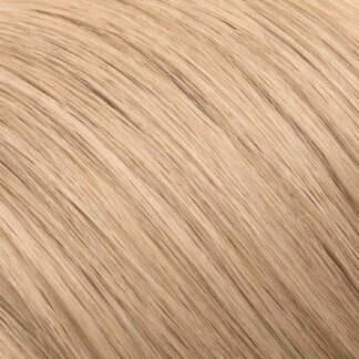 9.01 Very Light Cold Blonde - 1.jpg