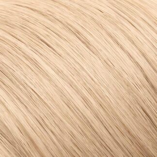 10.01 Platinum Cold Blonde - 1.jpg