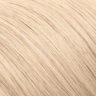 11.01 Extreme Cold Blonde - 1.jpg